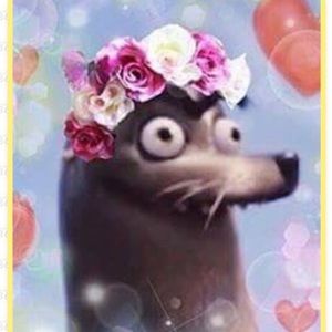 Meet your Posher, Samansamantha